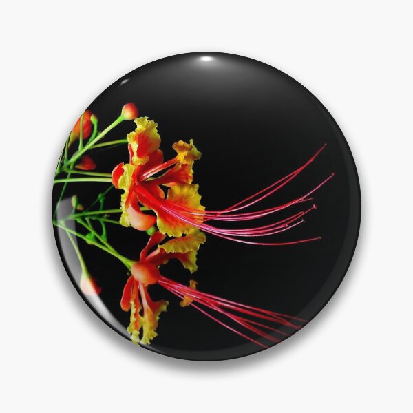 Artikelvorschau, flowers on black background entworfen und verkauft von michelle meenawong.