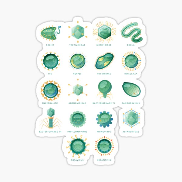 Human viruses set Sticker