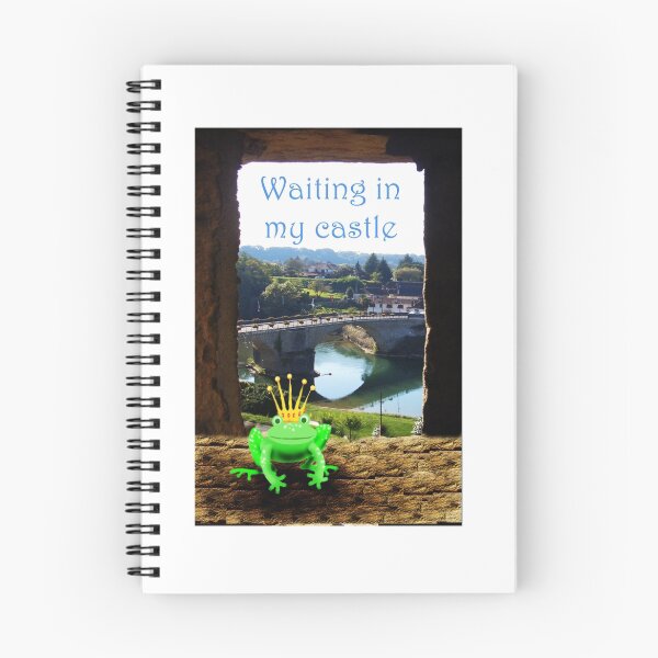 Item preview, Frog waiting in castle with crown, humor. designed and sold by Mary Taylor.