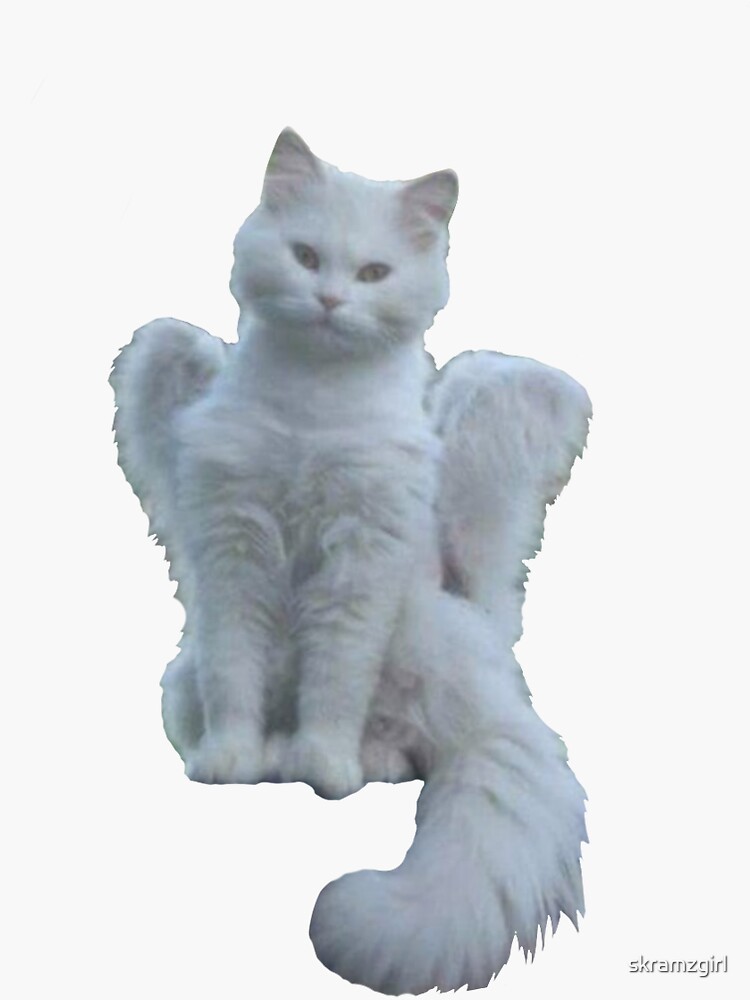 angel kitteh