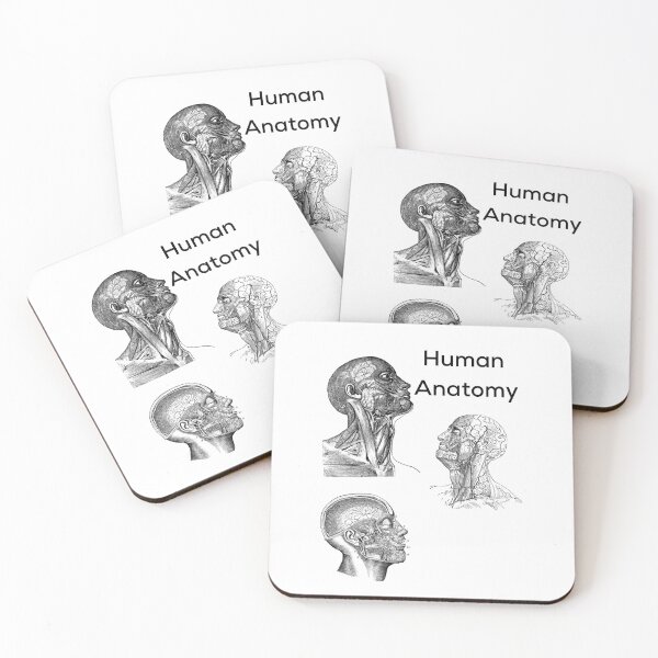 Item preview, Human Anatomy designed and sold by albix81.