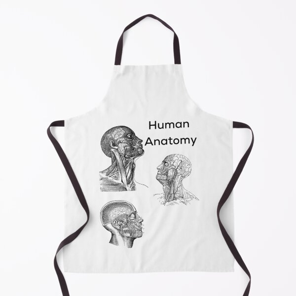 Item preview, Human Anatomy designed and sold by albix81.