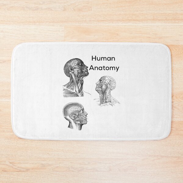 Item preview, Human Anatomy designed and sold by albix81.