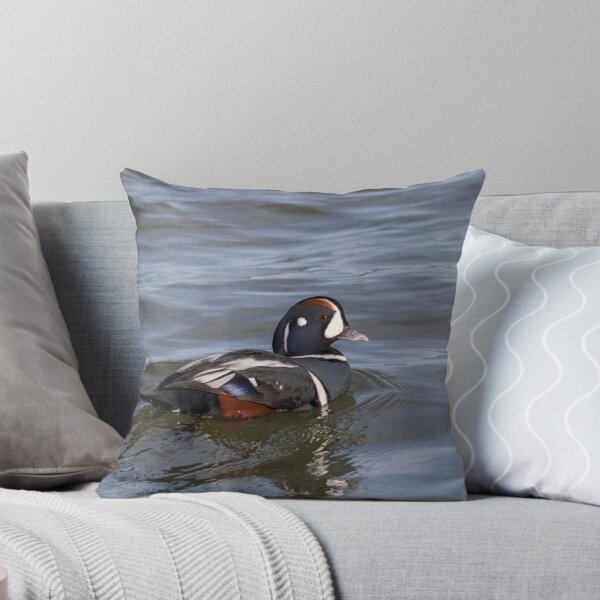 Item preview, Harlequin Duck, Histrionicus histrionicus, a small sea duck at the Barnegat Inlet, New Jersey designed and sold by Rabbitti.