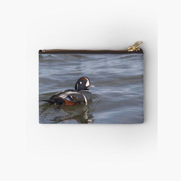 Item preview, Harlequin Duck, Histrionicus histrionicus, a small sea duck at the Barnegat Inlet, New Jersey designed and sold by Rabbitti.