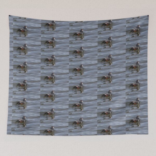 Item preview, Harlequin Duck, Histrionicus histrionicus, a small sea duck at the Barnegat Inlet, New Jersey designed and sold by Rabbitti.