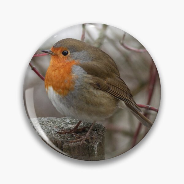 Item preview, European Robin on a wooden stump designed and sold by Philip Butler.