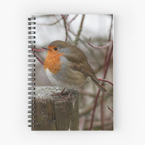 Item preview, European Robin on a wooden stump designed and sold by Philip Butler.