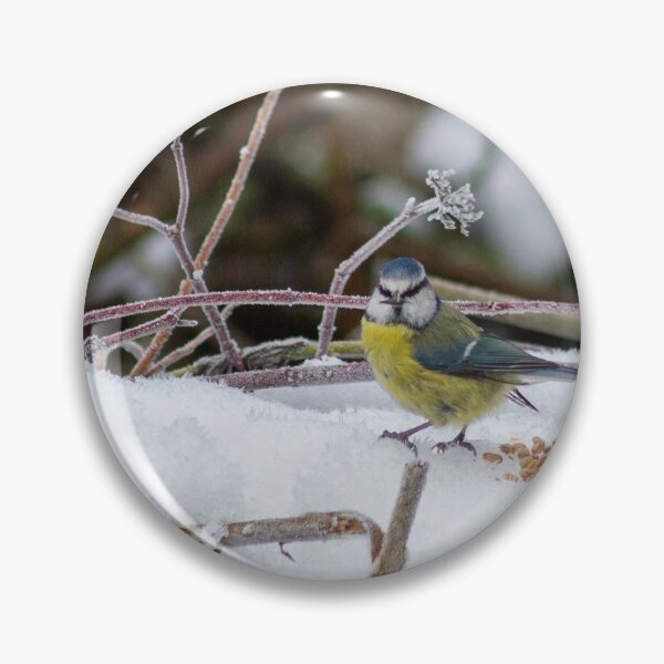 Item preview, Blue Tit designed and sold by Philip Butler.