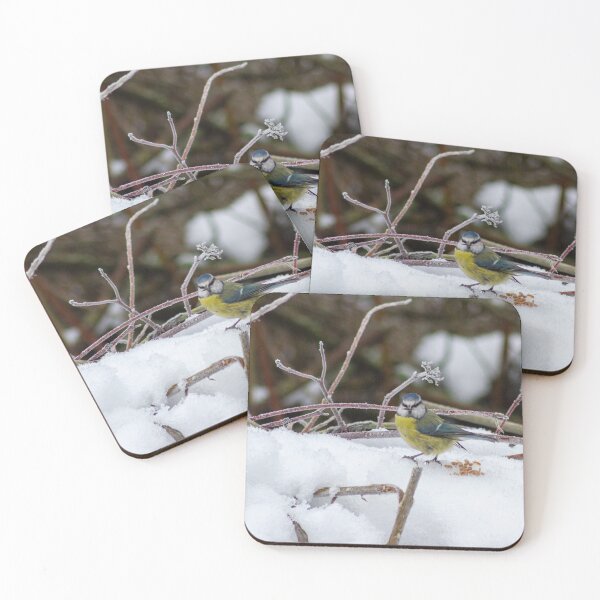 Item preview, Blue Tit designed and sold by Philip Butler.