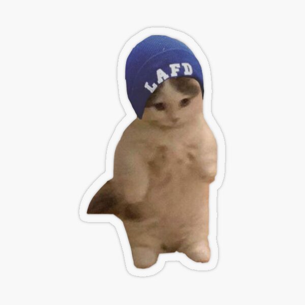 "Quackity Beanie Cat" Sticker by Minniato Redbubble