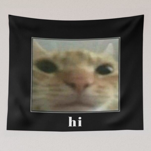 Item preview, Cat meme HI designed and sold by WanderingTrader.