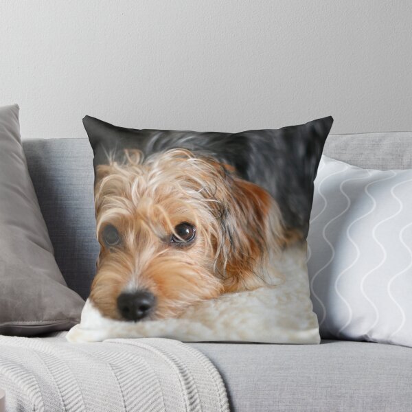 Item preview, Puppy portrait designed and sold by GreyFeatherPhot.