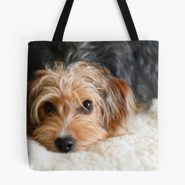 Item preview, Puppy portrait designed and sold by GreyFeatherPhot.