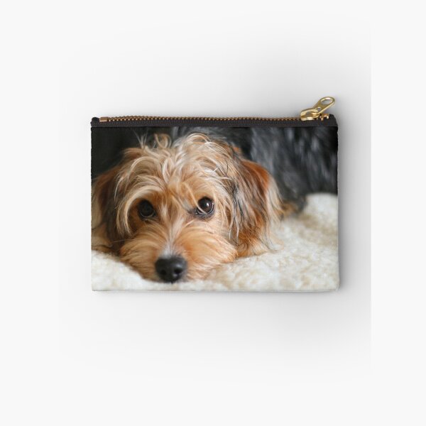 Item preview, Puppy portrait designed and sold by GreyFeatherPhot.