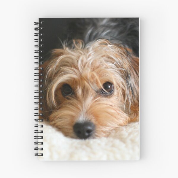 Item preview, Puppy portrait designed and sold by GreyFeatherPhot.