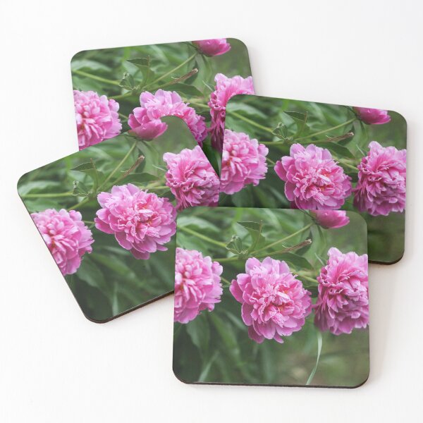 Item preview, Lovely pink peonies designed and sold by AnnemarieArnu.