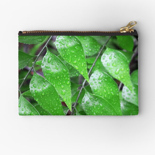 Byfield Fern - Bowenia Zipper Pouch