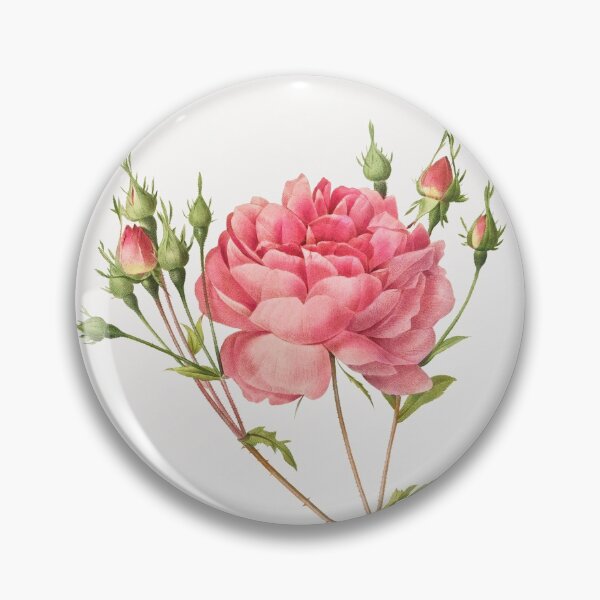 Item preview, Pink Rose - Botanical Illustration designed and sold by SALON DES ARTS.