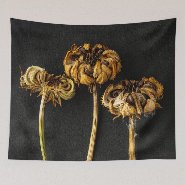 Item preview, Dried Marigold Flower Heads designed and sold by Richard Nixon.