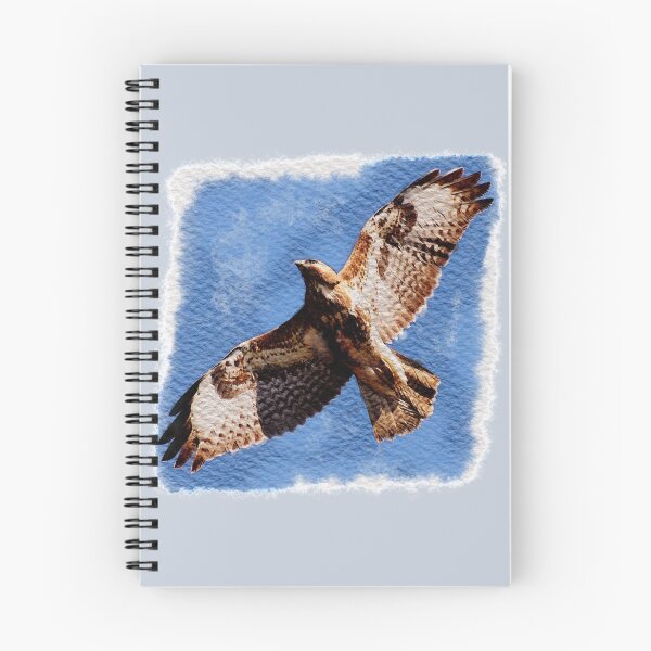 Item preview, Falcon fly designed and sold by Ginomandarino.