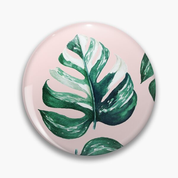 Item preview, Monstera Albo Variegata - Monstera Variegata designed and sold by plan-t-b.