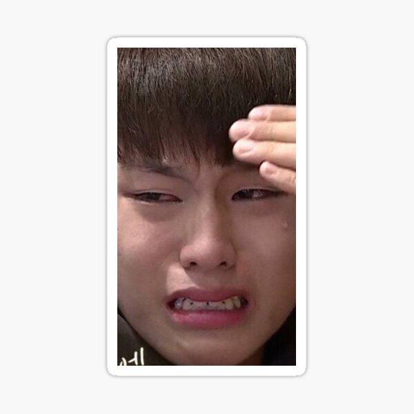 Sad Crying Meme Face Sticker for Sale by Justin Is my name