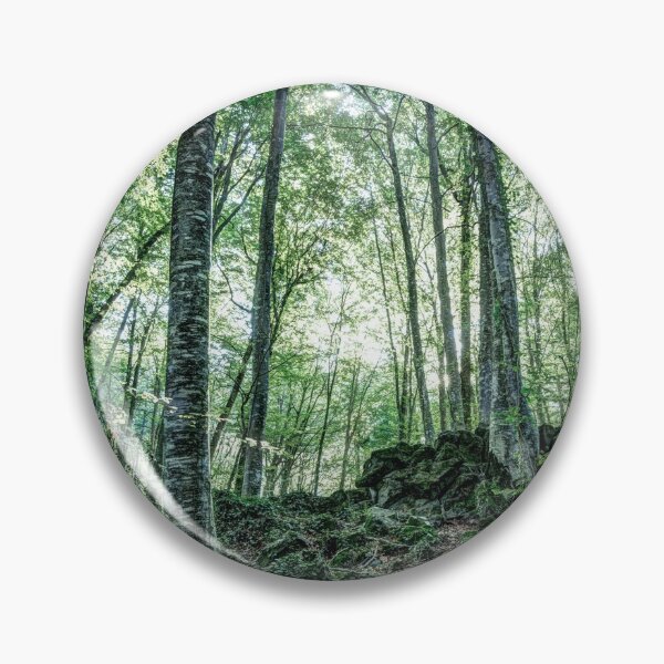 Artikelvorschau, The Jordan's beech wood, Catalonia entworfen und verkauft von Marc Garrido Clotet.