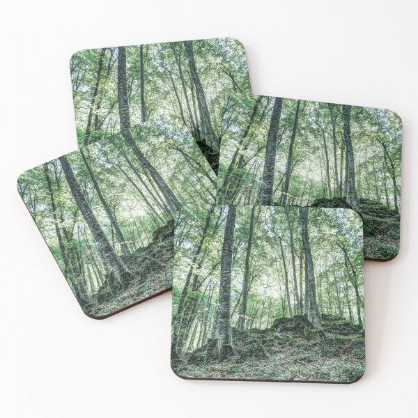 Item preview, The Jordan's beech wood, Catalonia designed and sold by Marc Garrido Clotet.