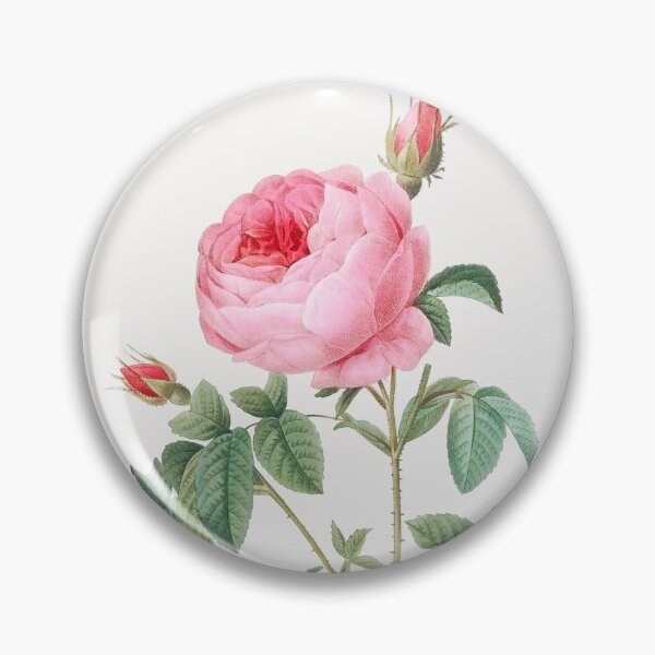 Item preview, Pink Rose - Botanical Illustration designed and sold by SALON DES ARTS.
