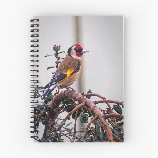 Item preview, Gold Finch designed and sold by Mike Mattock.