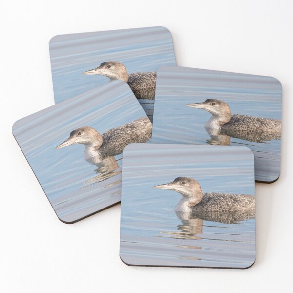 Item preview, Great Northern Diver designed and sold by LaurenTucker.