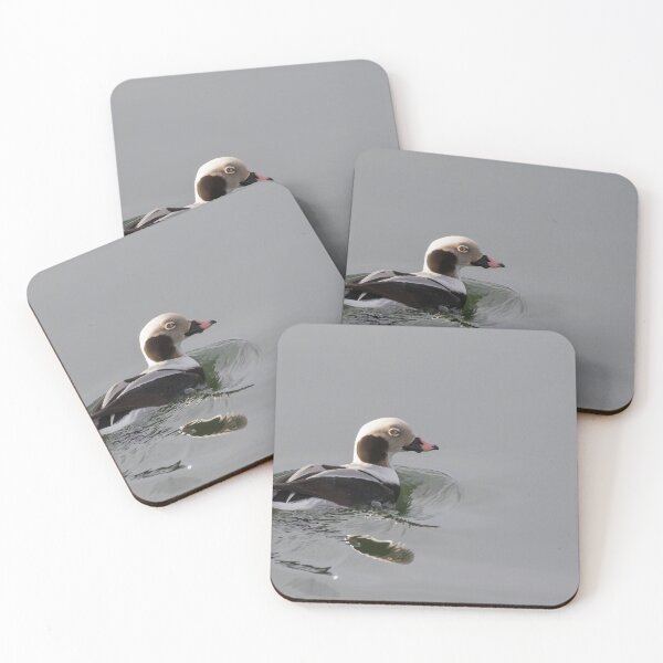 Item preview, Long Tailed Duck designed and sold by LaurenTucker.