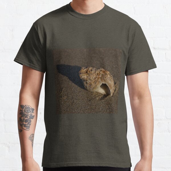 Weathered Whelk on Fahan Beach Classic T-Shirt