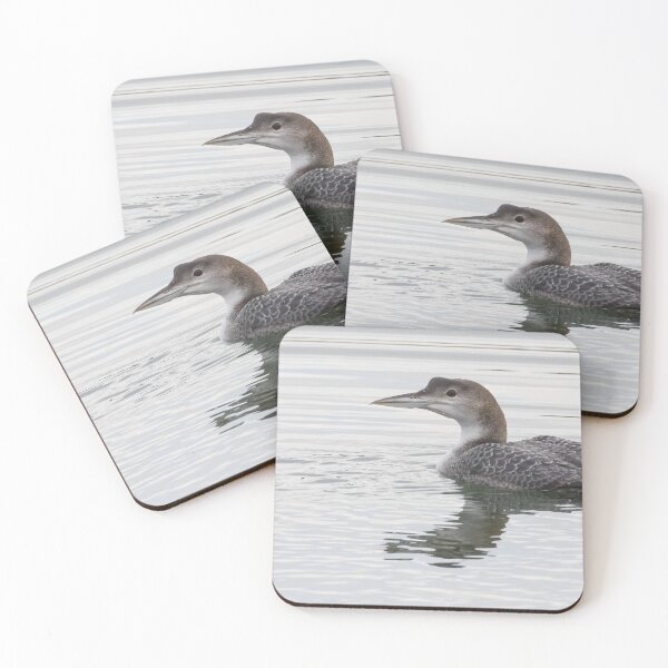 Item preview, Great Northern Diver designed and sold by LaurenTucker.