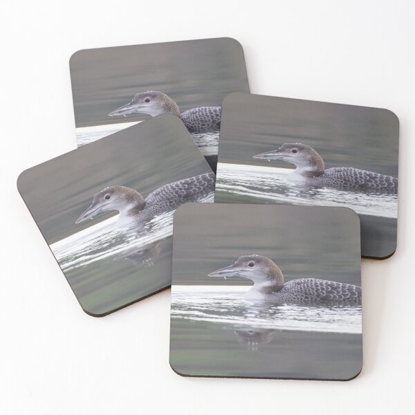 Item preview, Great Northern Diver designed and sold by LaurenTucker.