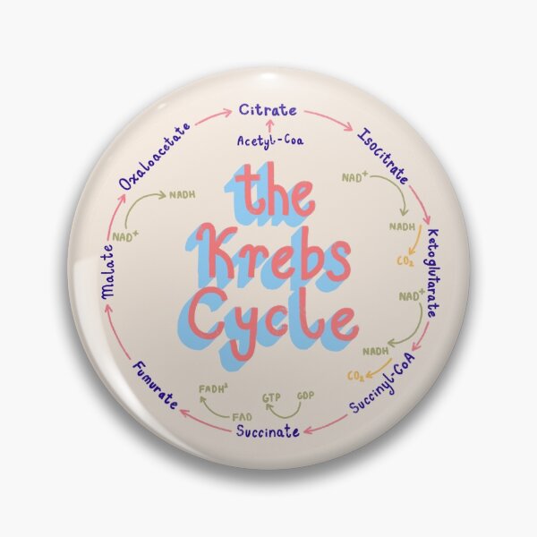 Item preview, Cute Pastel Krebs Cycle Sticker (Biochemistry, Biology) designed and sold by farsyth.