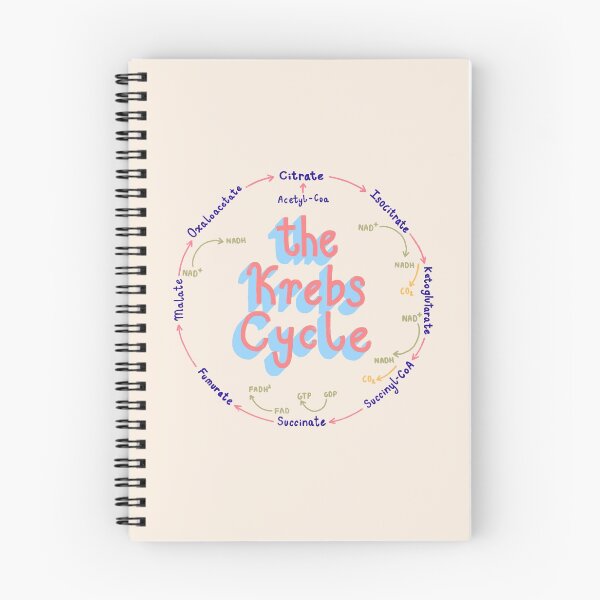 Item preview, Cute Pastel Krebs Cycle Sticker (Biochemistry, Biology) designed and sold by farsyth.