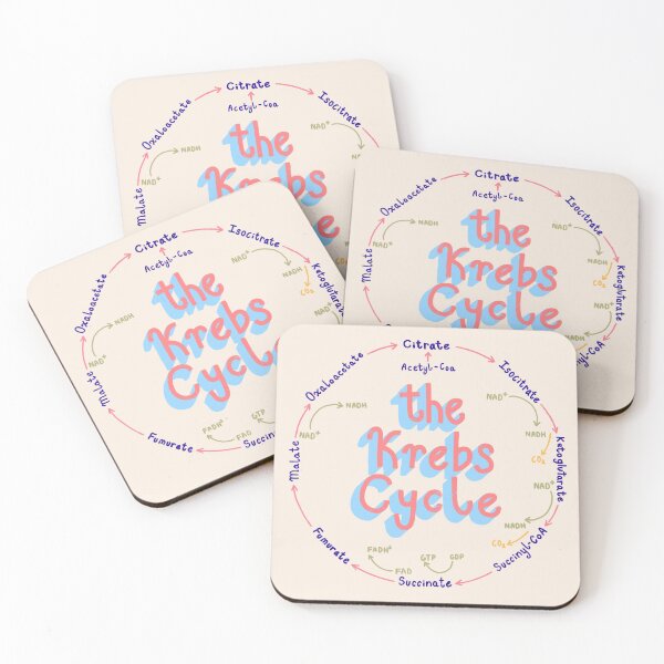 Item preview, Cute Pastel Krebs Cycle Sticker (Biochemistry, Biology) designed and sold by farsyth.