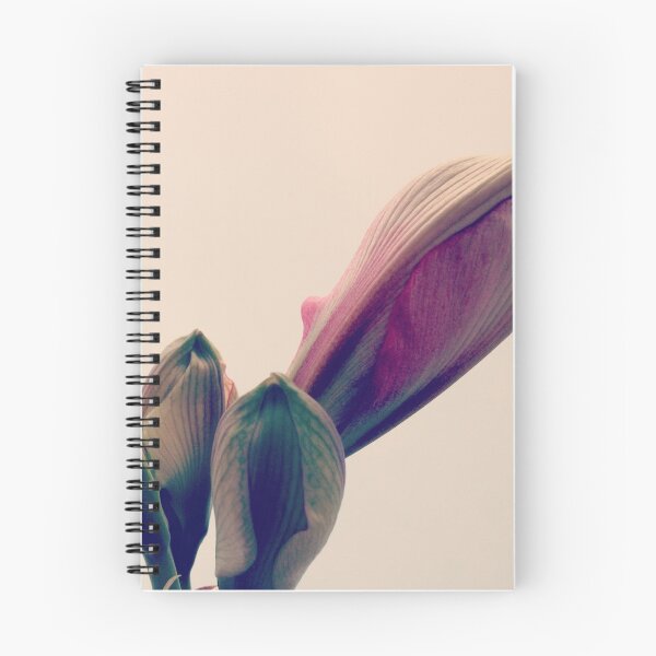 Item preview, bud amaryllis flower designed and sold by halfoften.