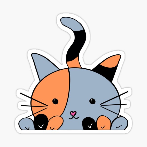 Cat With Patches Gifts & Merchandise for Sale | Redbubble