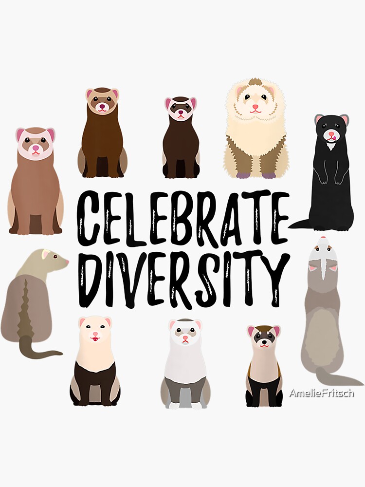 "'Celebrate Diversity' Gifts for Ferret Lovers Cute Ferret" Sticker by AmelieFritsch Redbubble