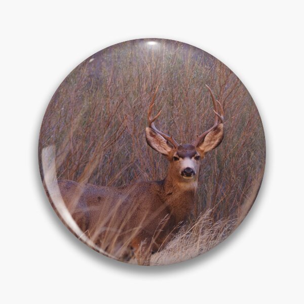 Item preview, Young buck. designed and sold by spec1alproj3cts.