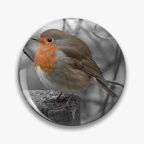 Item preview, Robin europeo designed and sold by Philip Butler.