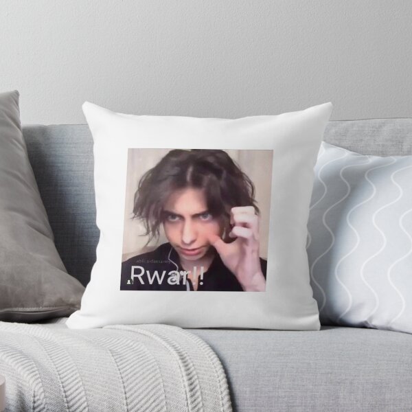 Aidan Gallagher Rawr Coussin