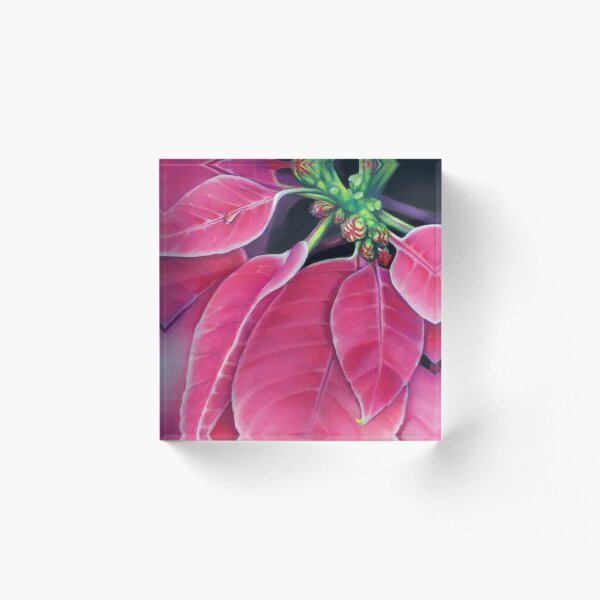 Pink Poinsettia Acrylic Block