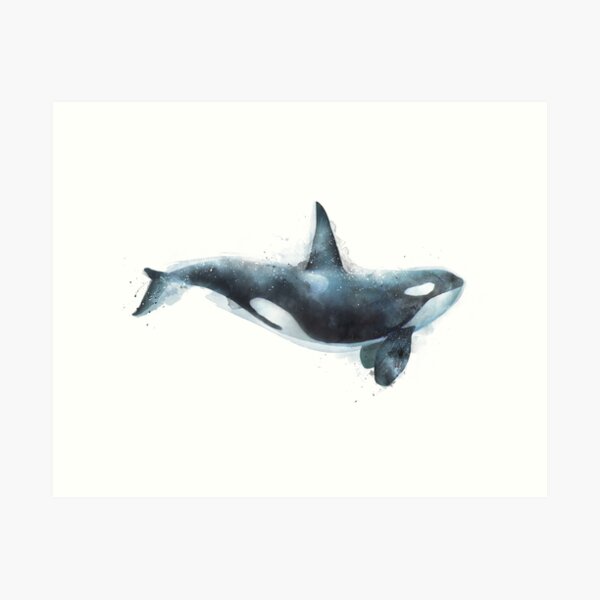 Orca Art Print
