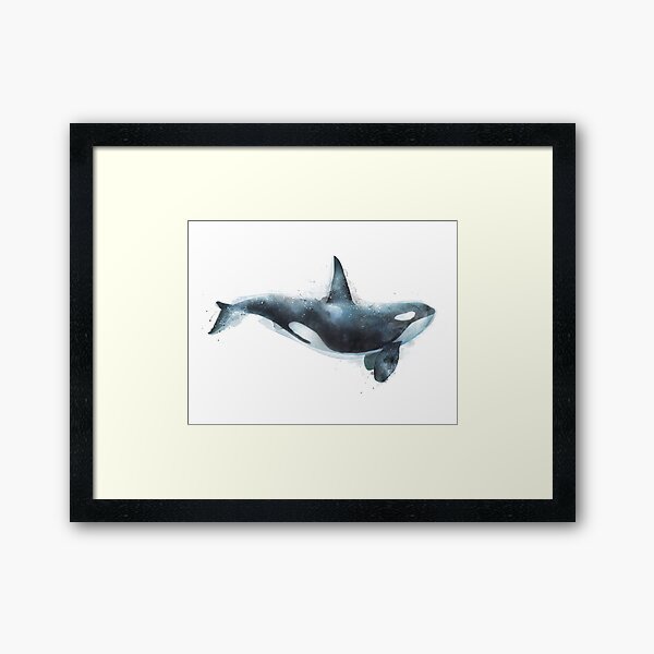 Orca Framed Art Print