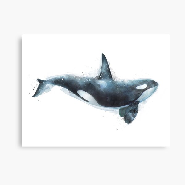 Item preview, Orca designed and sold by Amy Hamilton.