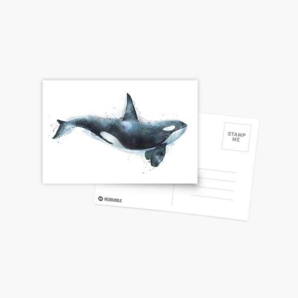 Orca Postcard